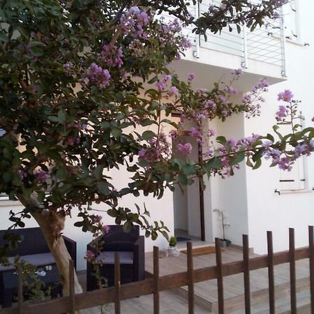 The Judas Trees Mestre Exterior photo