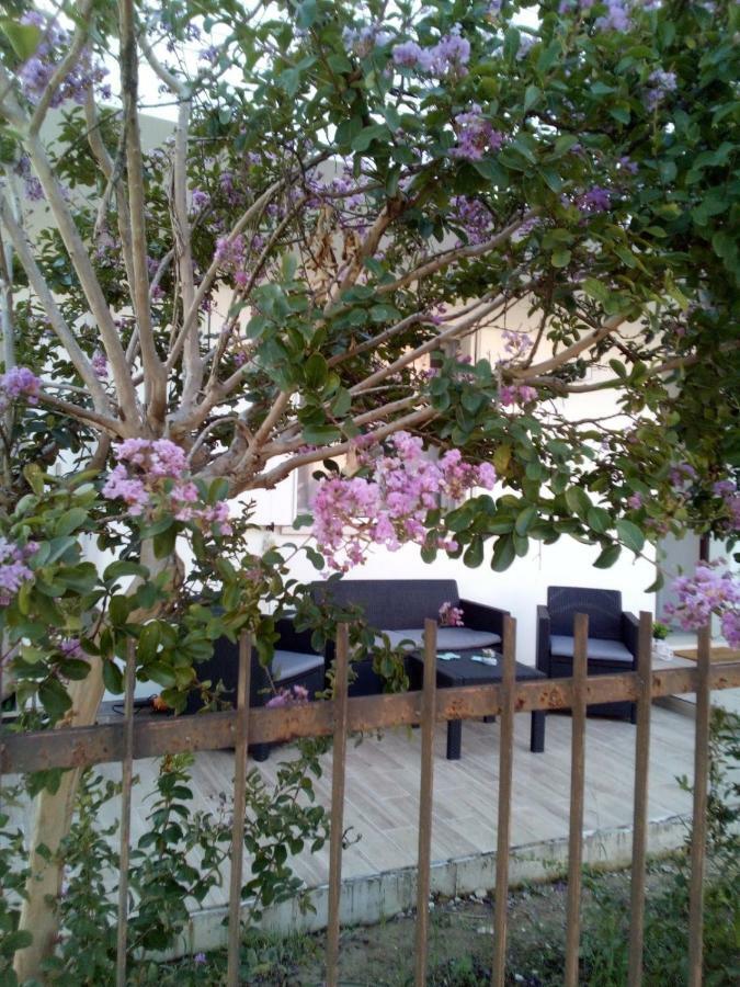The Judas Trees Mestre Exterior photo