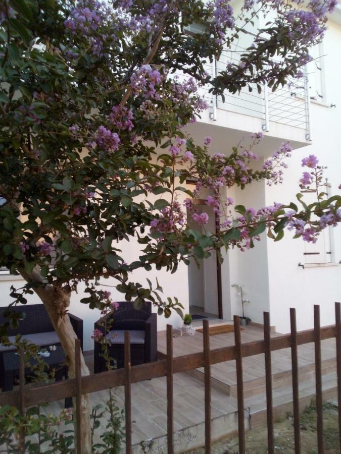 The Judas Trees Mestre Exterior photo