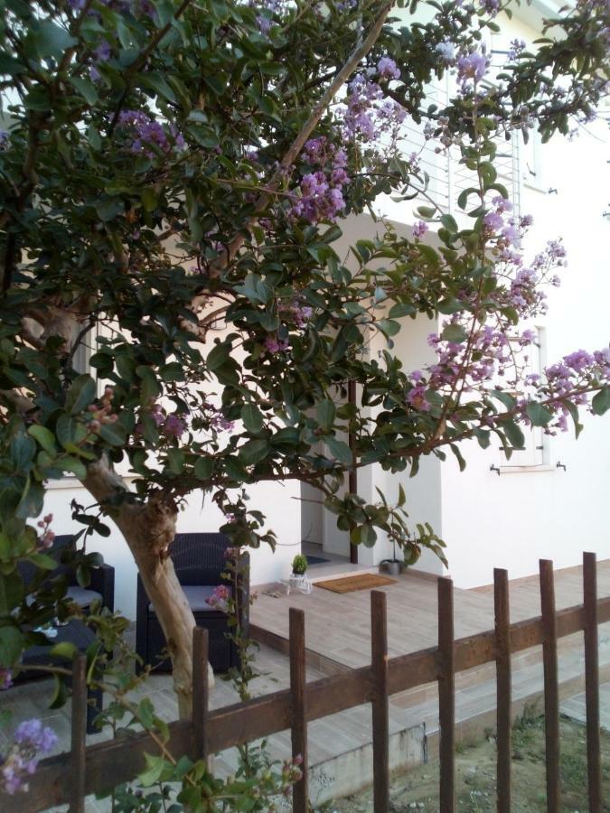 The Judas Trees Mestre Exterior photo