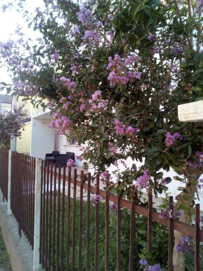The Judas Trees Mestre Exterior photo